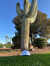 Load image into Gallery viewer, ODG Desert Cactus Hat
