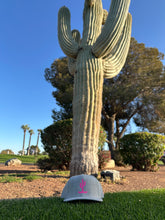 Load image into Gallery viewer, ODG Desert Cactus Hat
