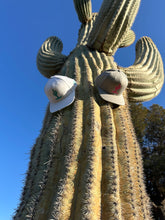 Load image into Gallery viewer, ODG Desert Cactus Hat
