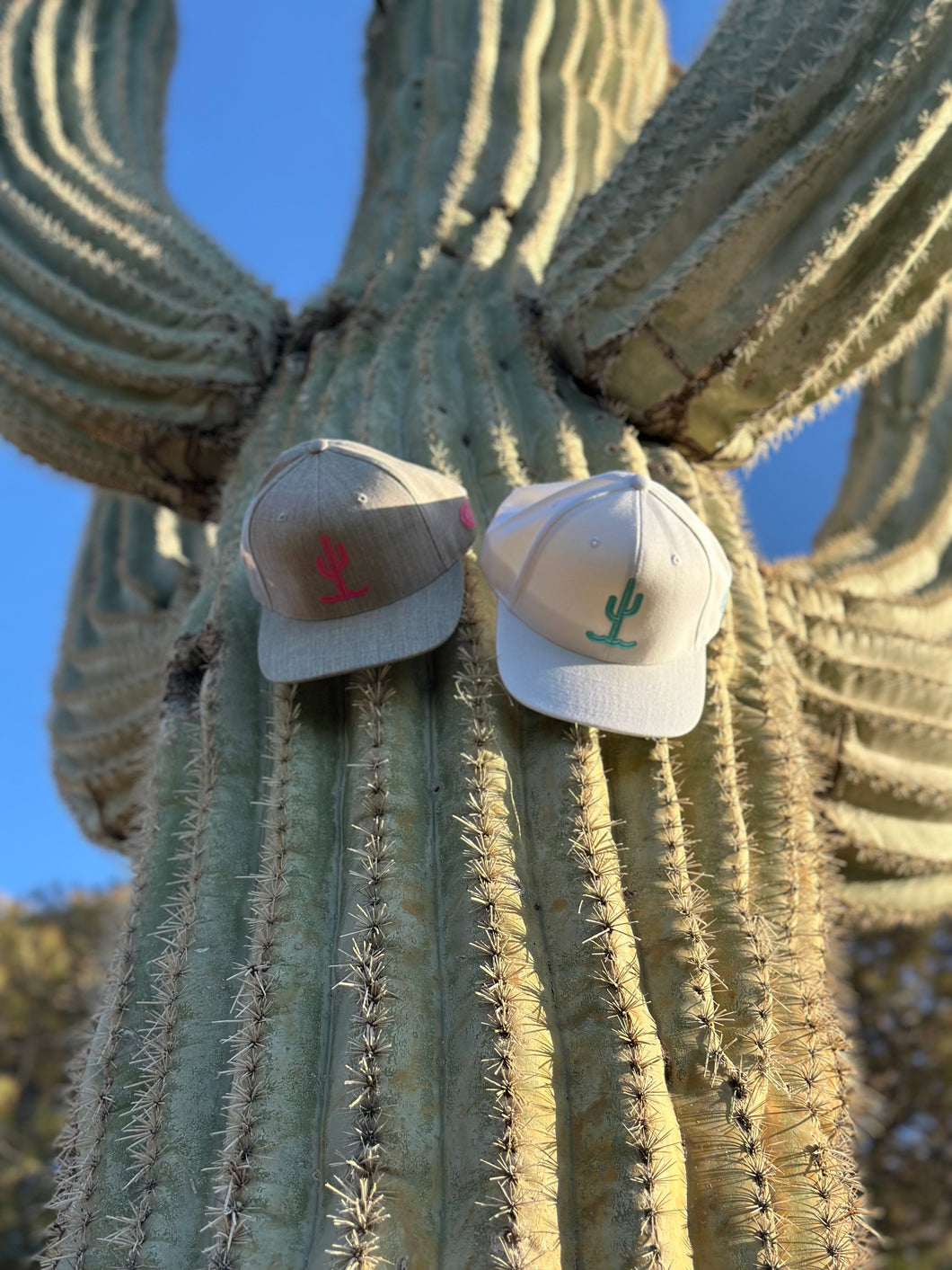 ODG Desert Cactus Hat